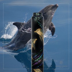 FüllfederhalterAP Limited EditionThe Playing Dolphins